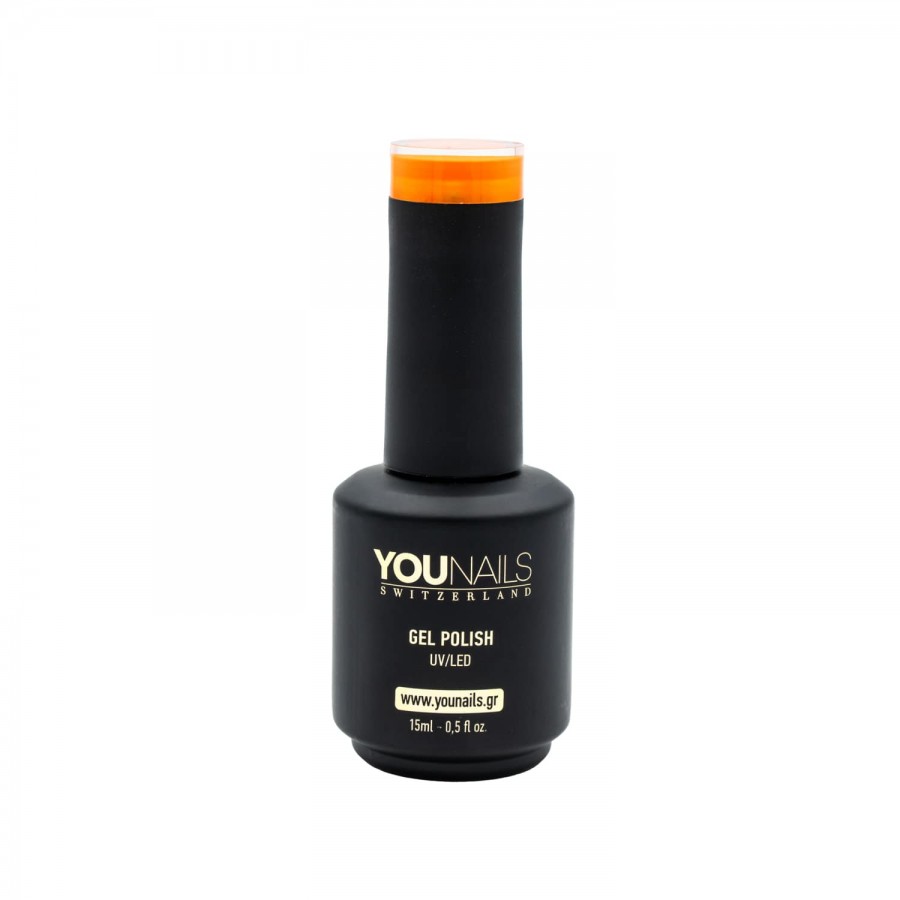 Y13 Orange